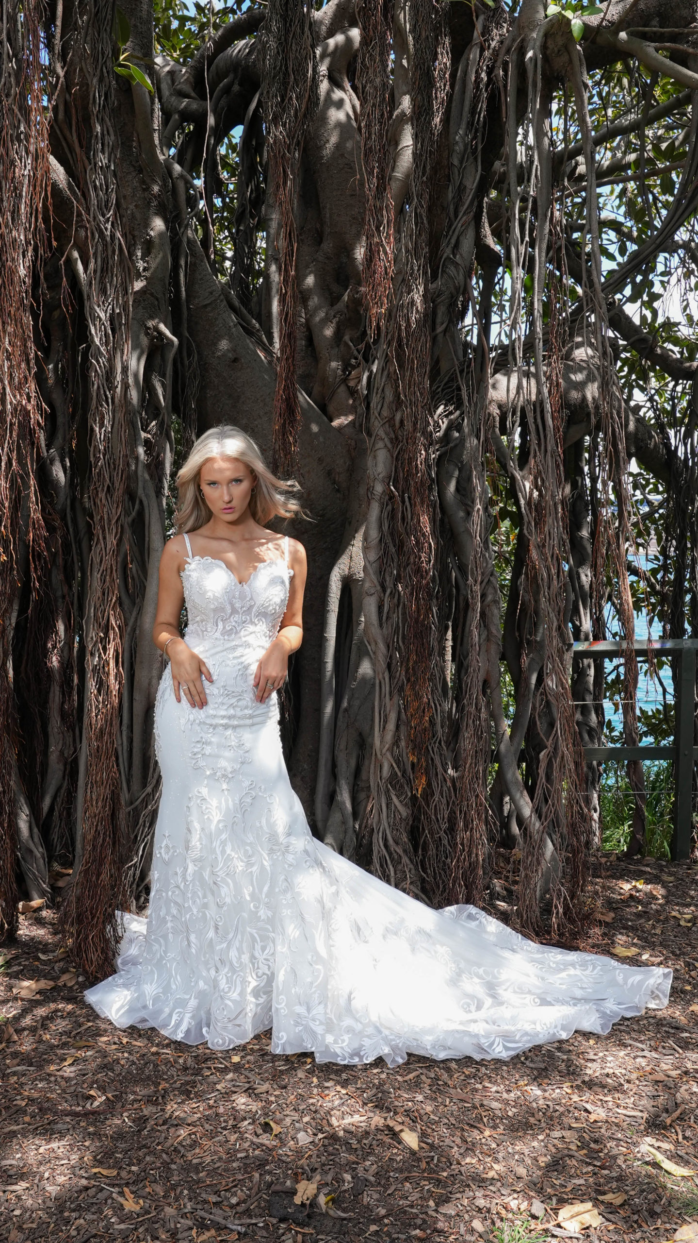 Bridal dress shops | Appointments | Vision in White
